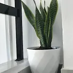 Appartement Inej Maisonette *