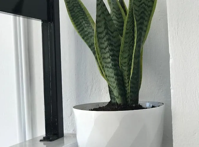 Апартаменты Inej Maisonette *