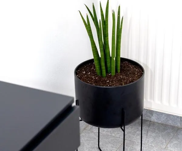 Inej Maisonette * Эрмуполис